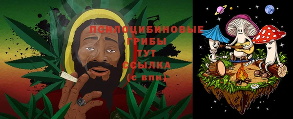 герыч Бронницы